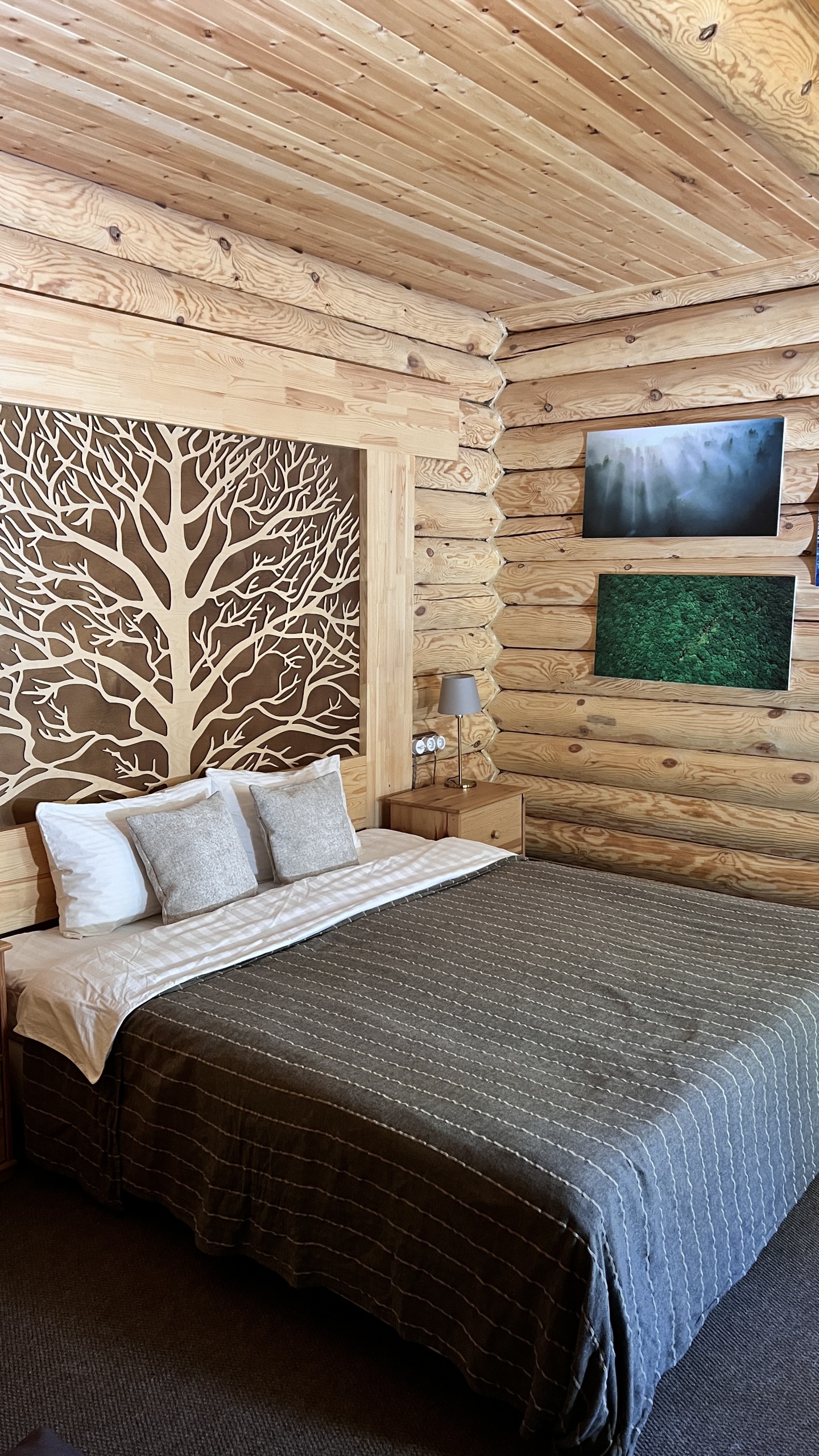 Урочище Сайкол - фото 24