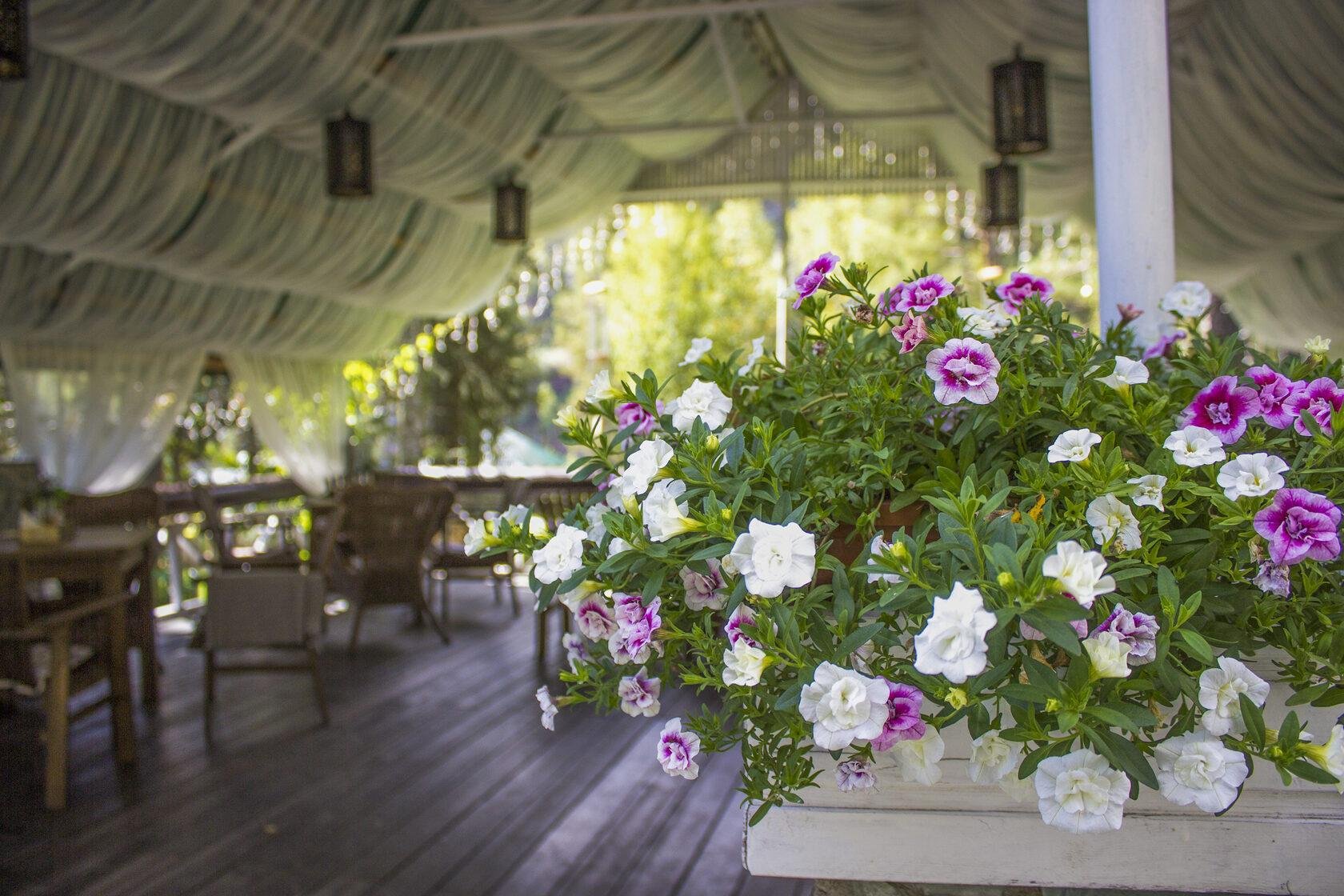 Урочище Сайкол - фото 36