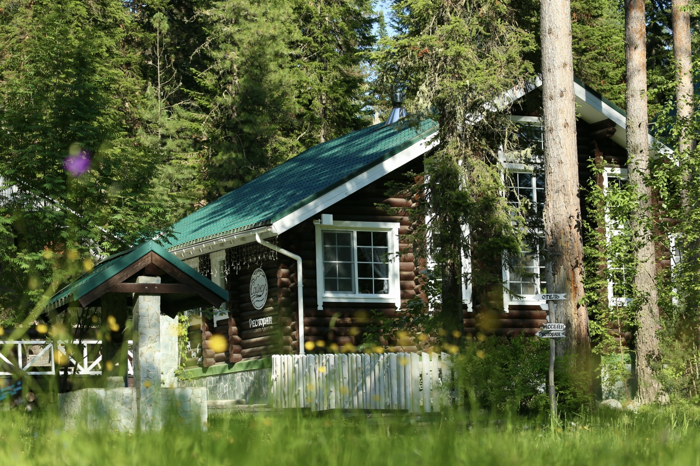 Урочище Сайкол - фото 48