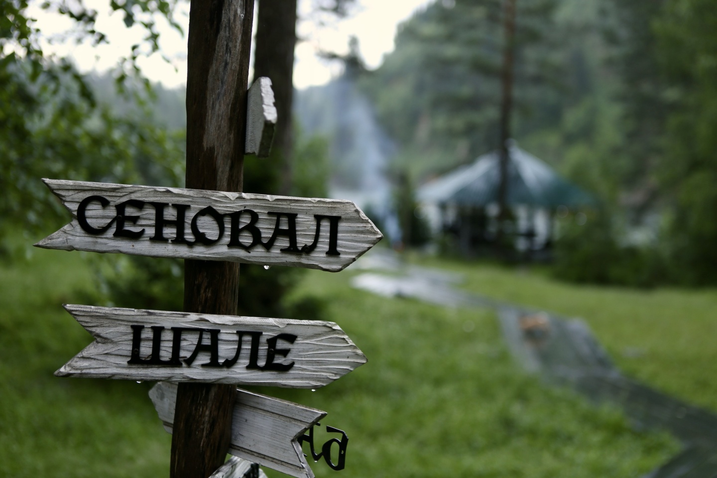 Урочище Сайкол - фото 53