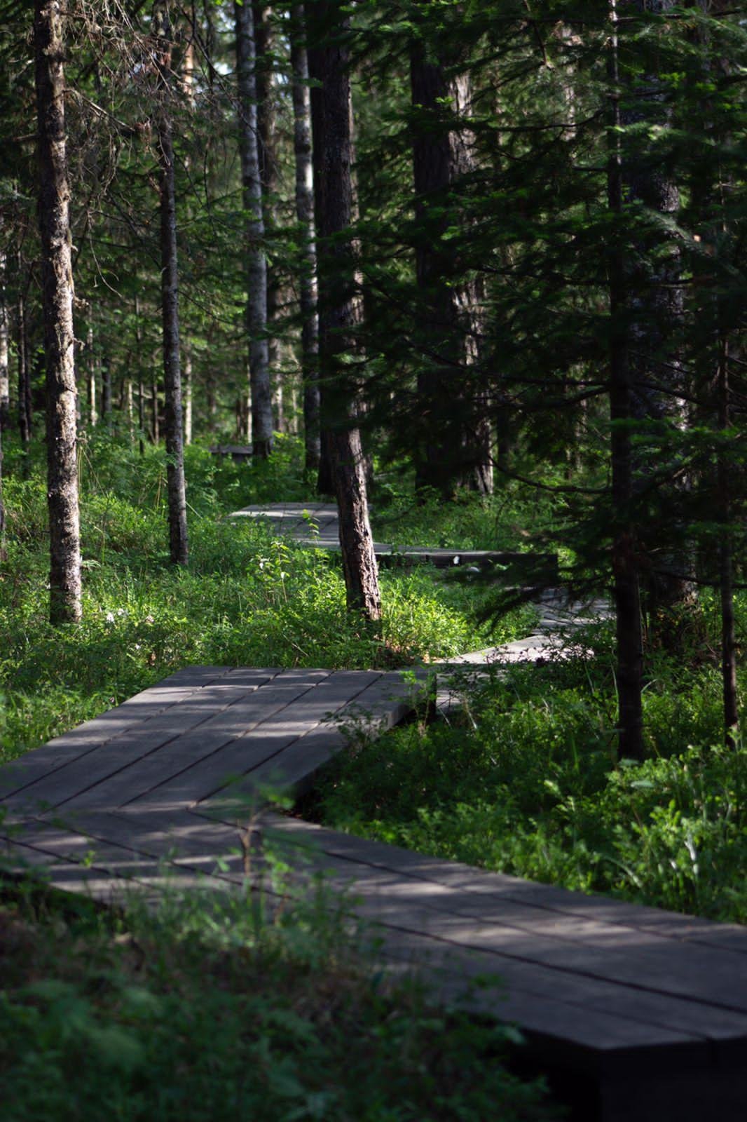 Урочище Сайкол - фото 80