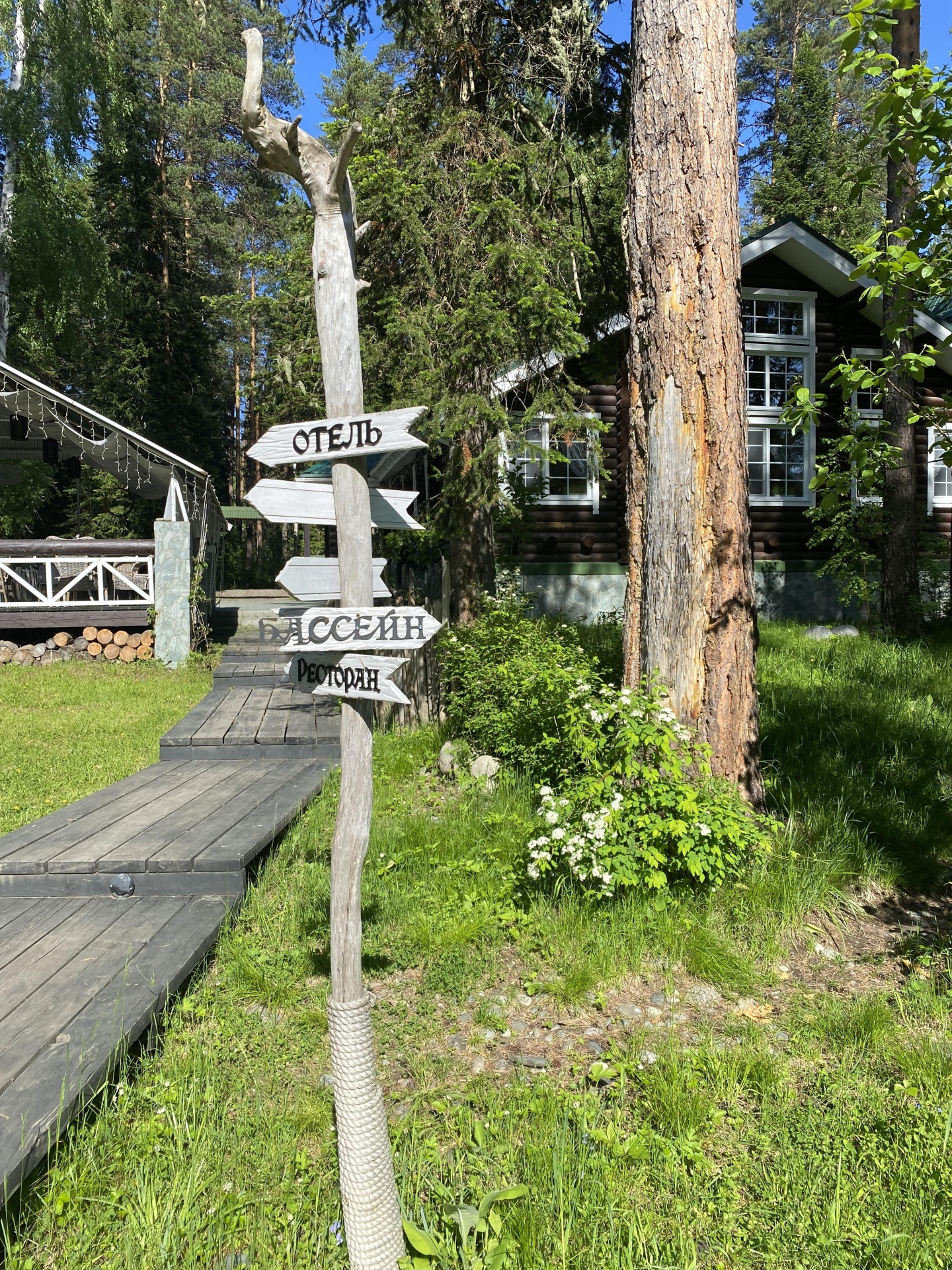 Урочище Сайкол - фото 90