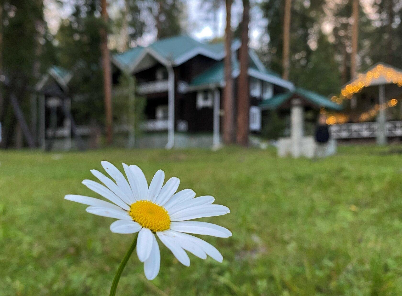 Урочище Сайкол - фото 92