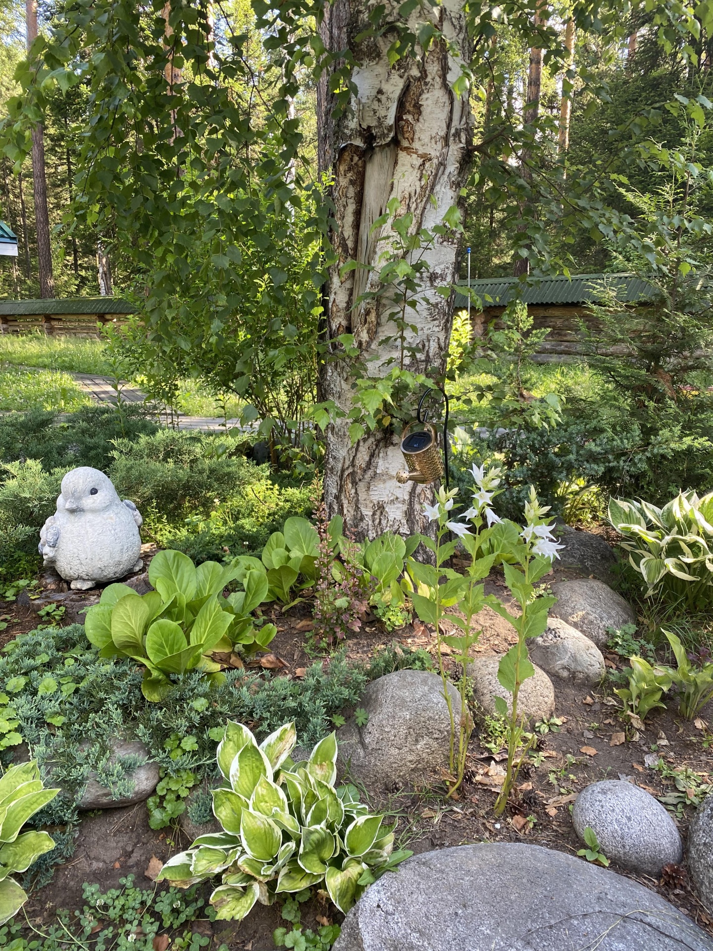 Урочище Сайкол - фото 93