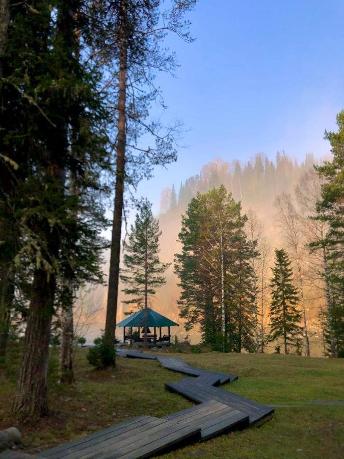 Урочище Сайкол - фото 98