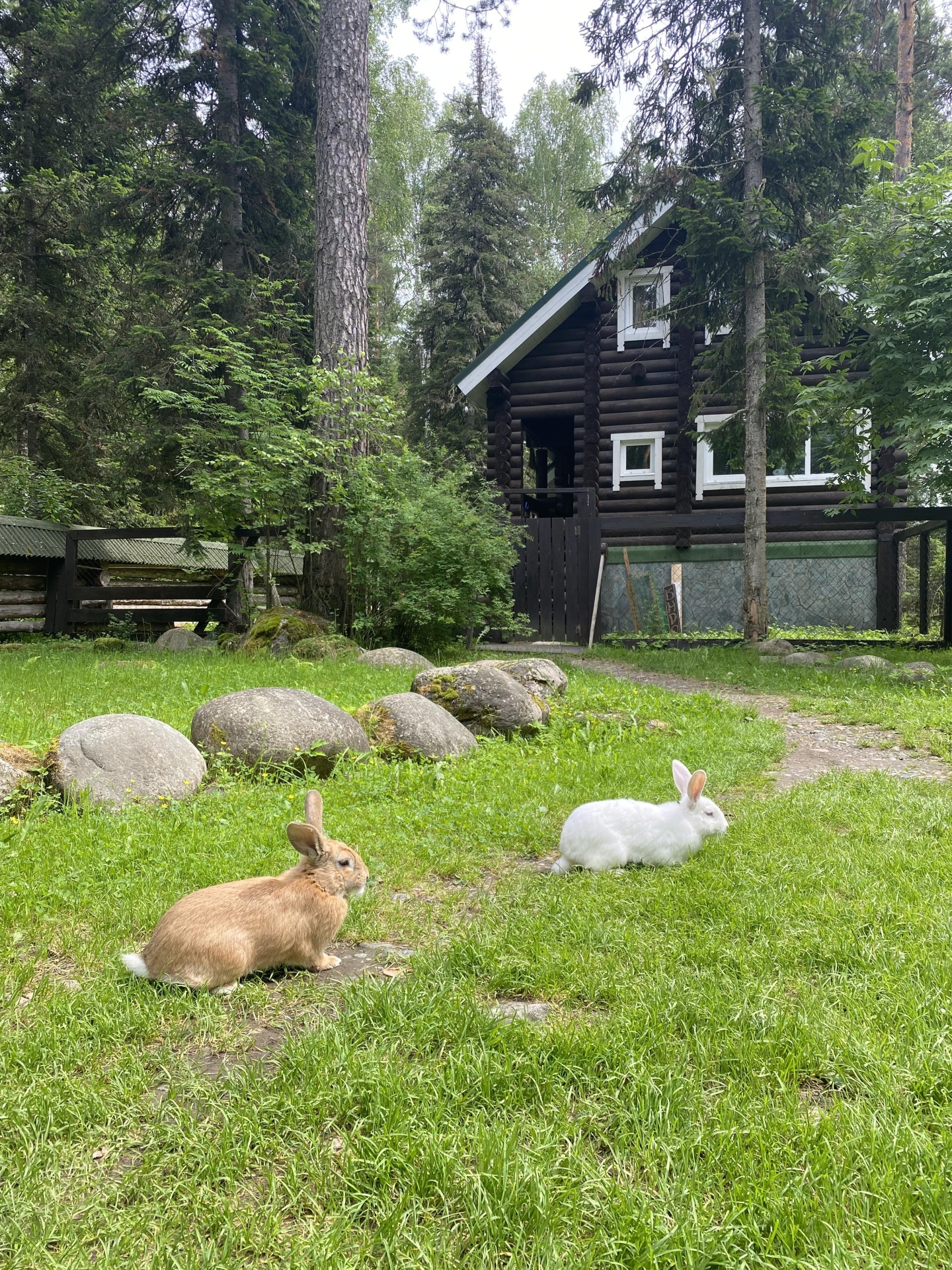 Урочище Сайкол - фото 108