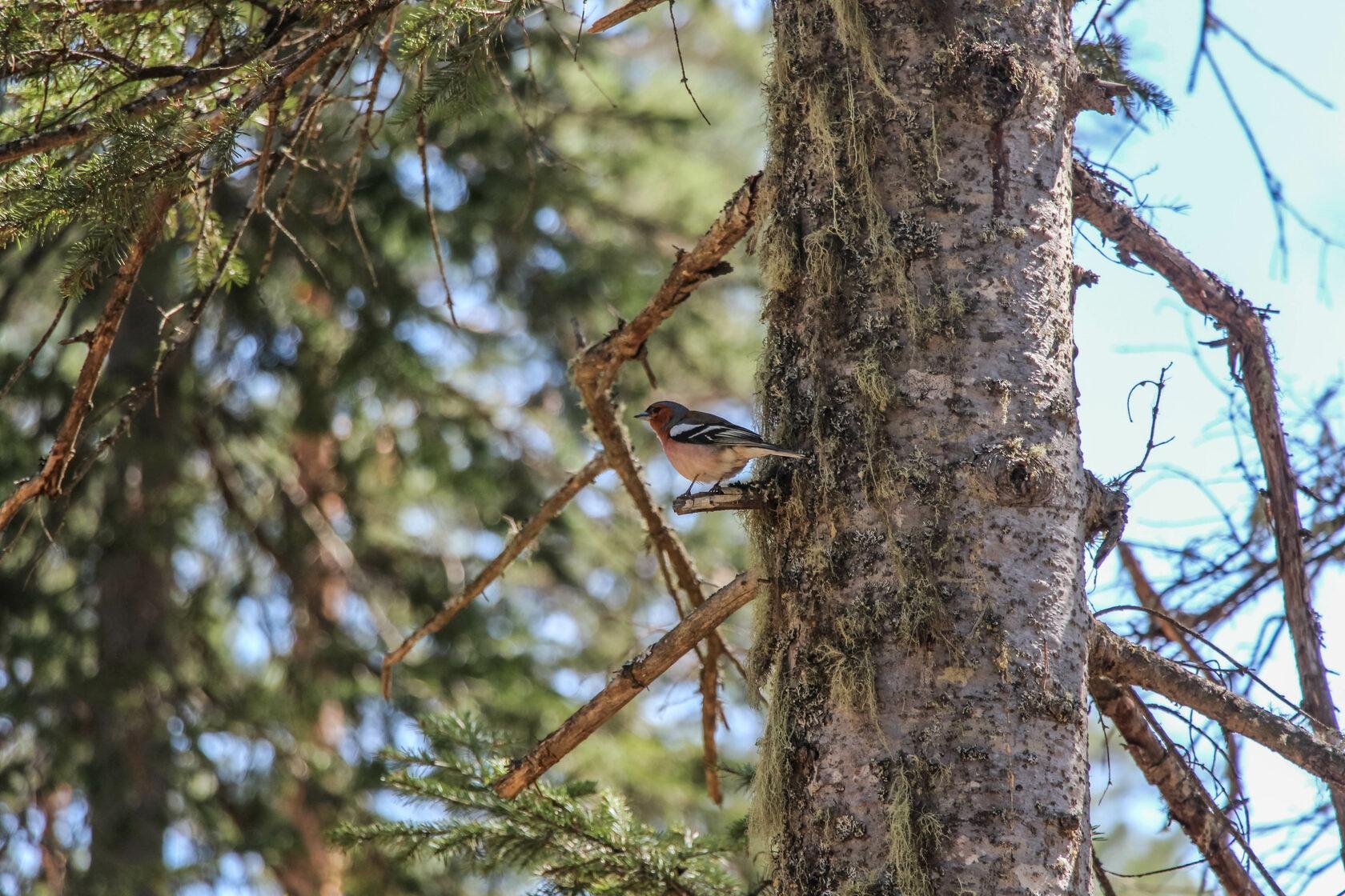 Урочище Сайкол - фото 109