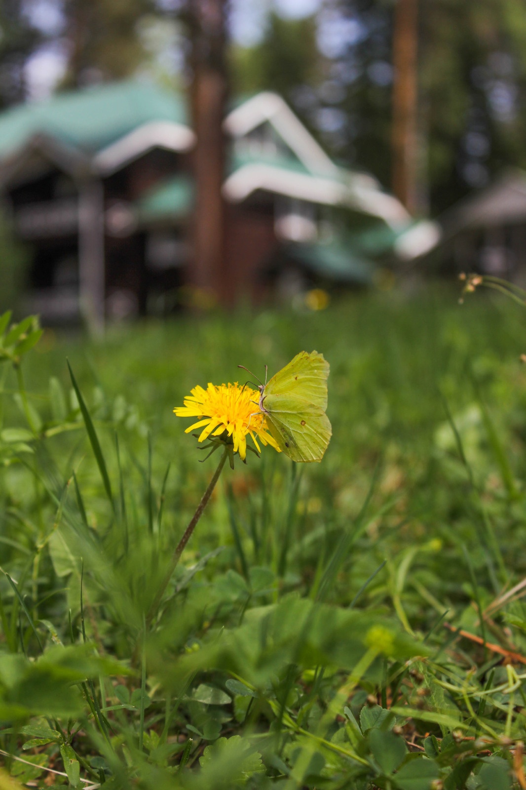 Урочище Сайкол - фото 125