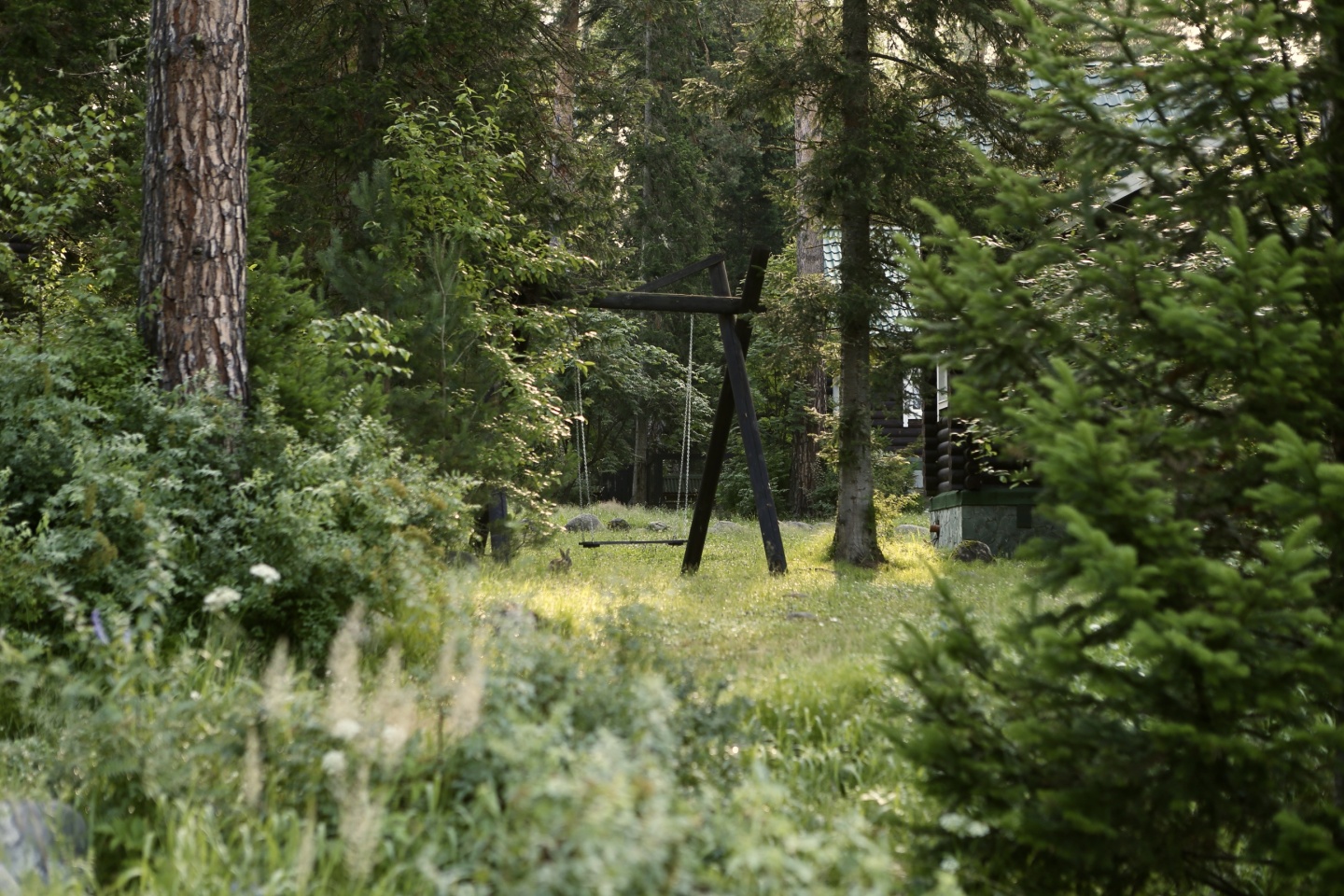 Урочище Сайкол - фото 129