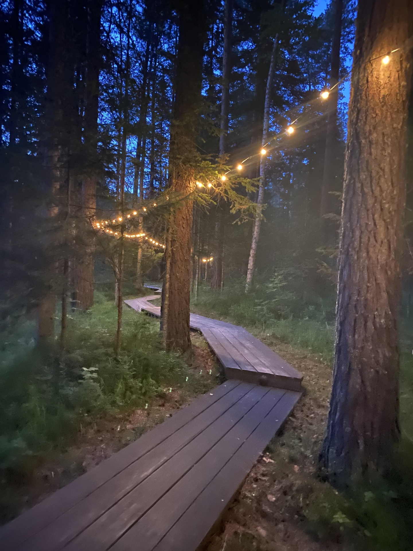 Урочище Сайкол - фото 131