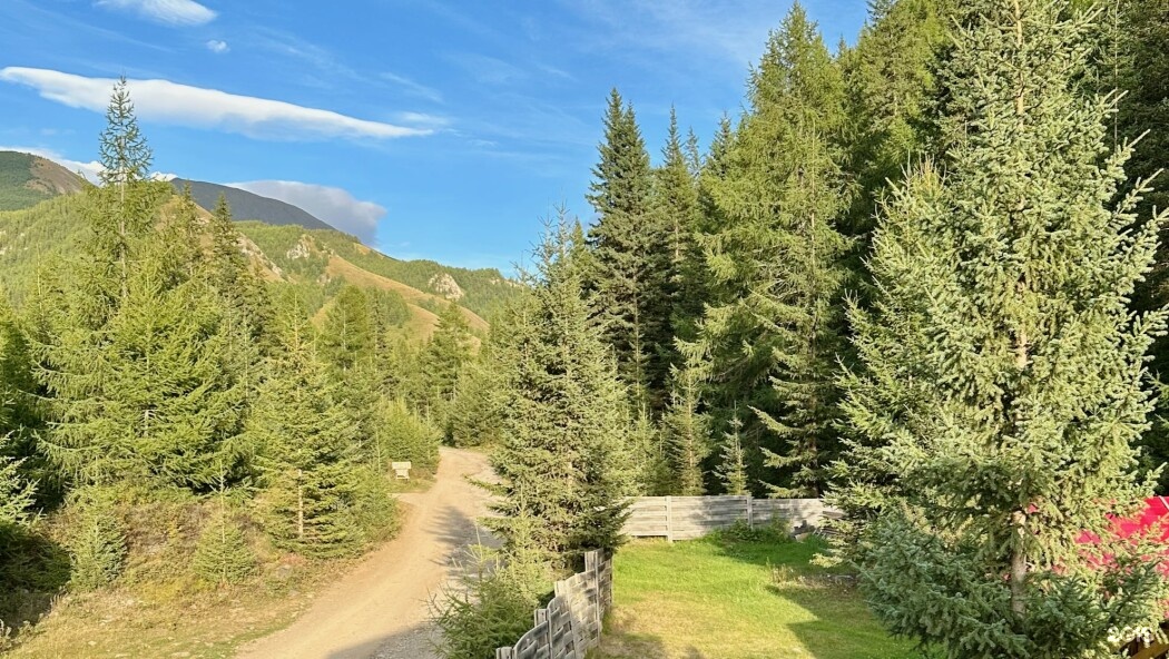 🏠 Двухместный номер с «королевской кроватью» , мини-кухней и отдельным входом на 2 этаже (№7) - фото 16
