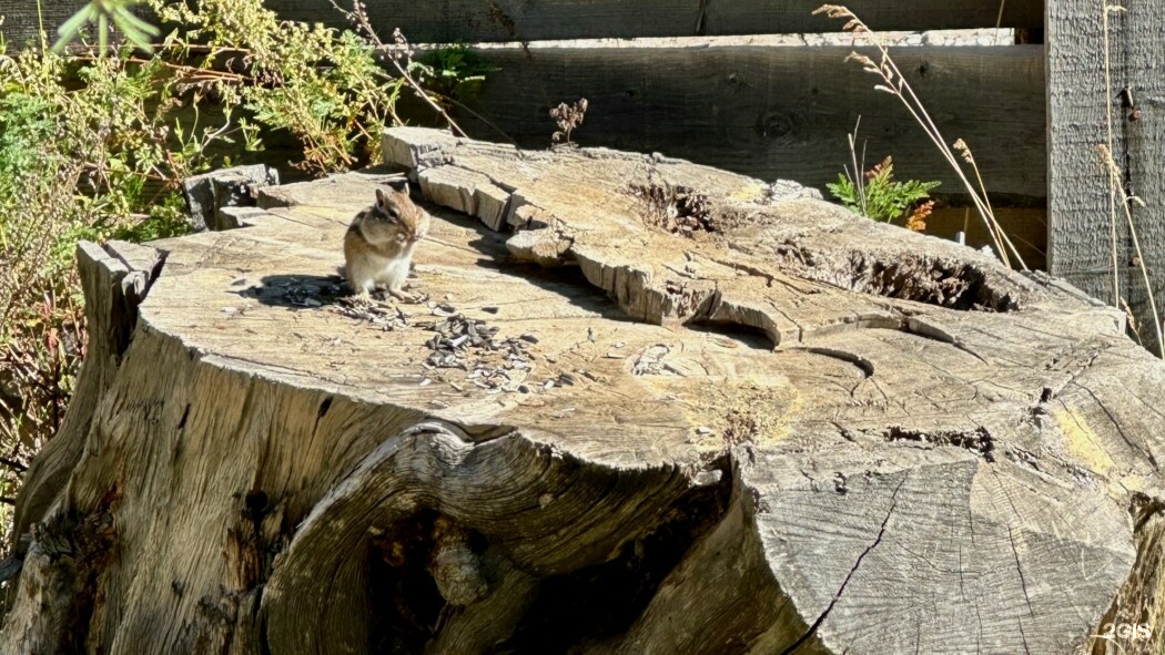 🏠 Двухместный номер с «королевской кроватью» , мини-кухней и отдельным входом на 2 этаже (№7) - фото 18