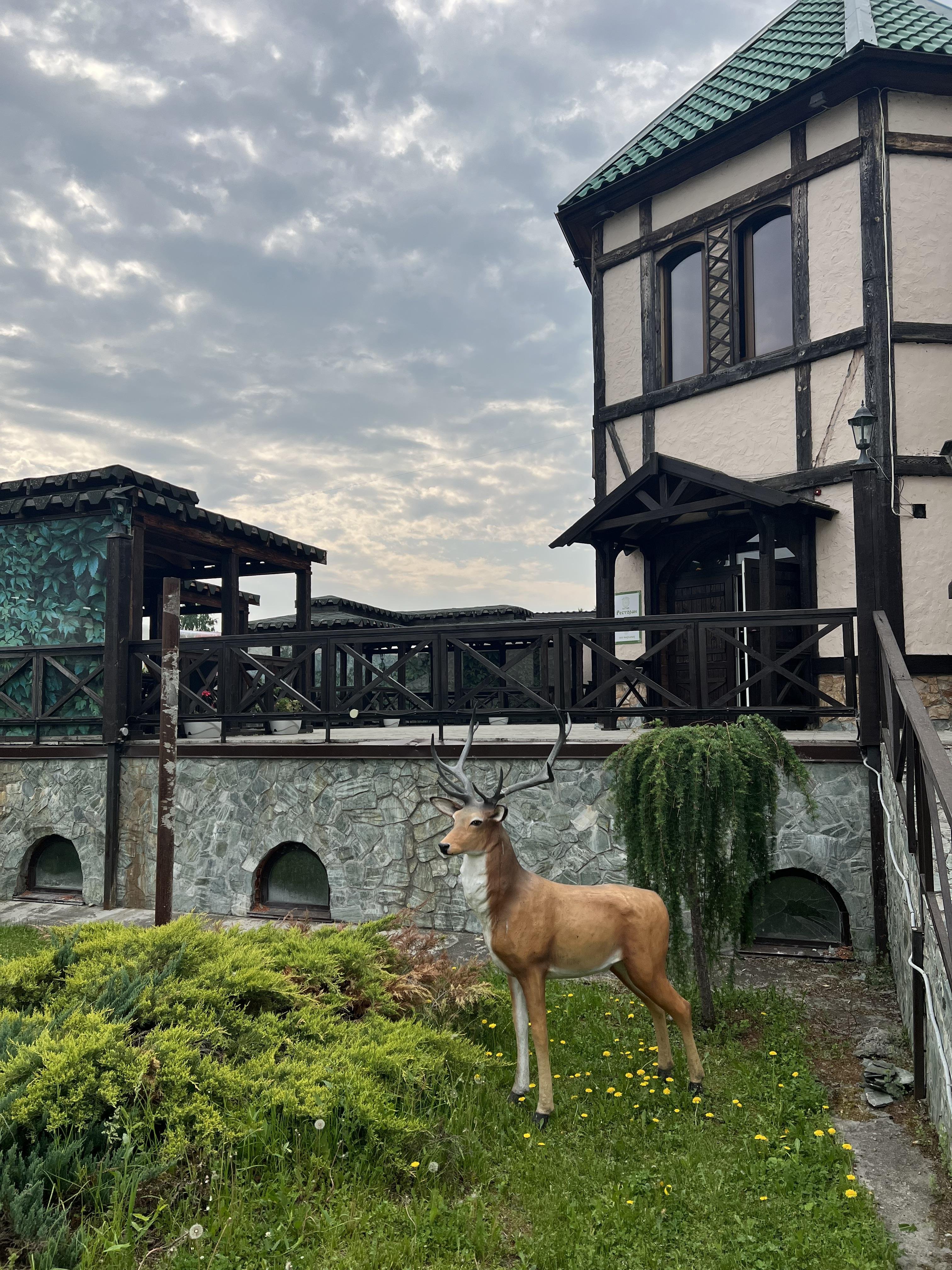 Сар-Герел Алтая - фото 5