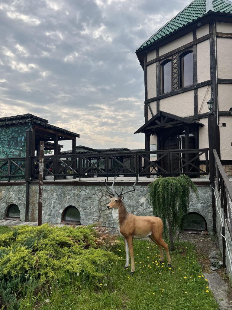 Сар-Герел Алтая - фото 5