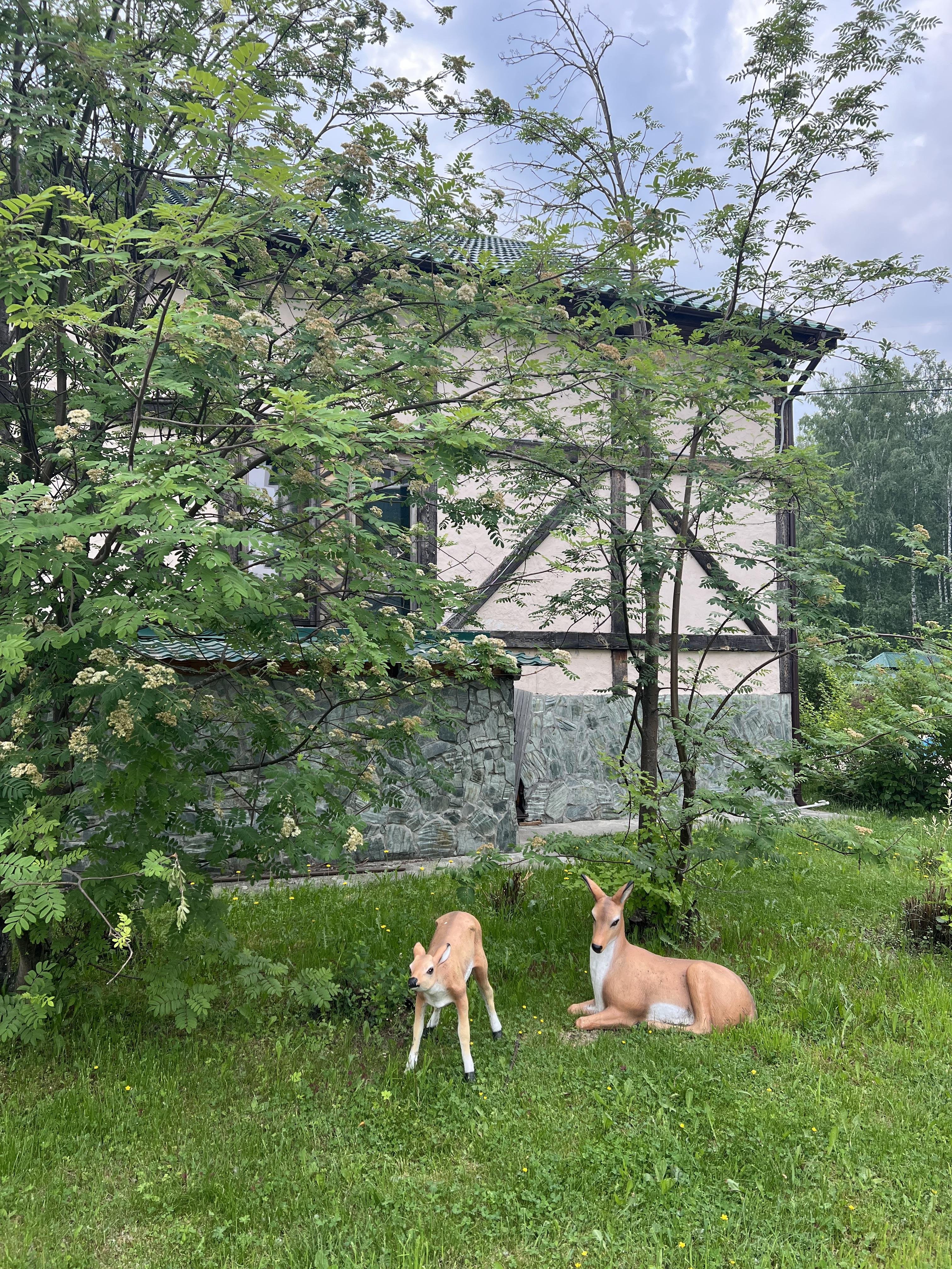 Сар-Герел Алтая - фото 28