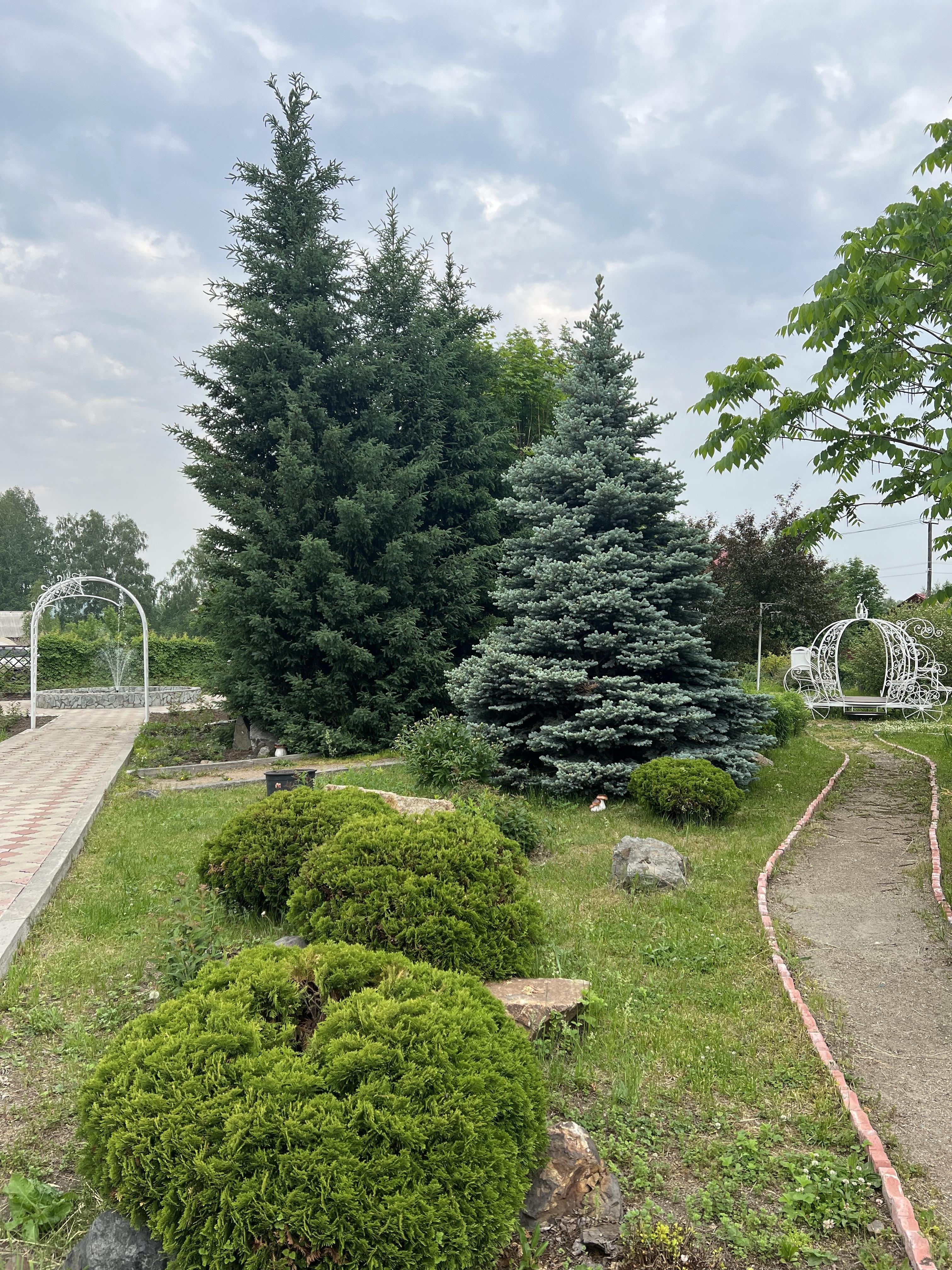 Сар-Герел Алтая - фото 29