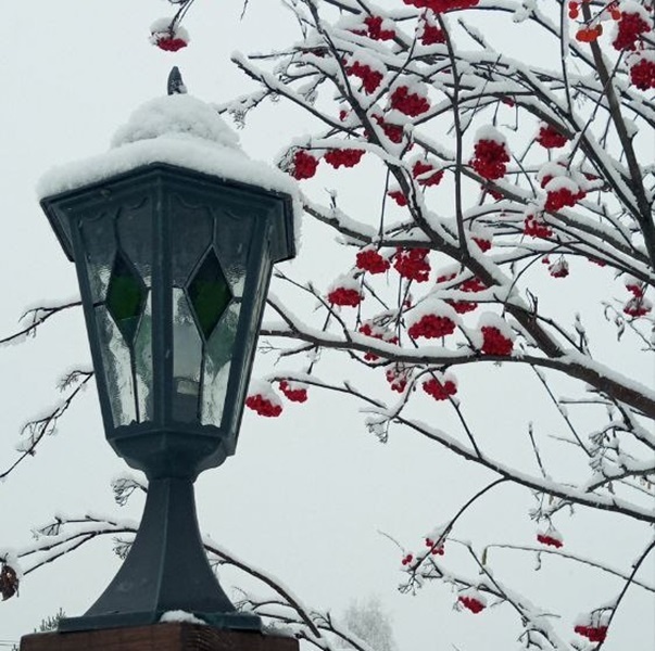 Сар-Герел Алтая - фото 39