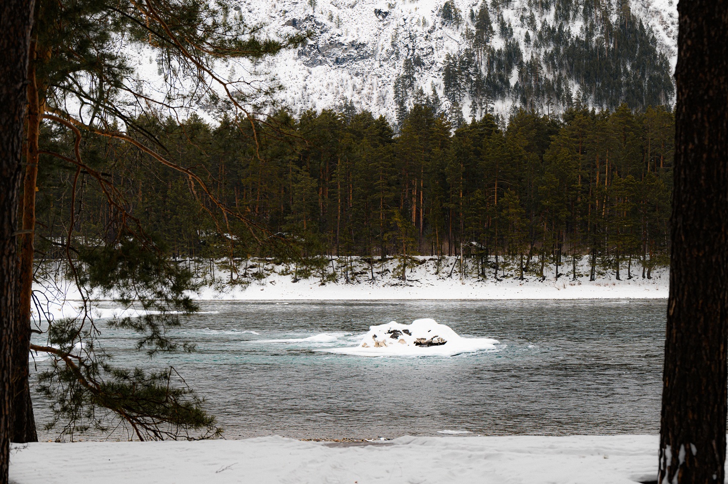 Дом Катунь - фото 19