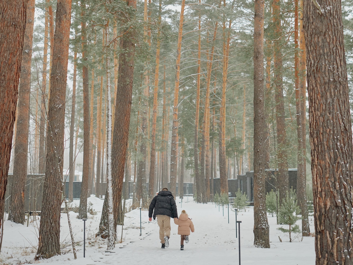 Дом Катунь - фото 25