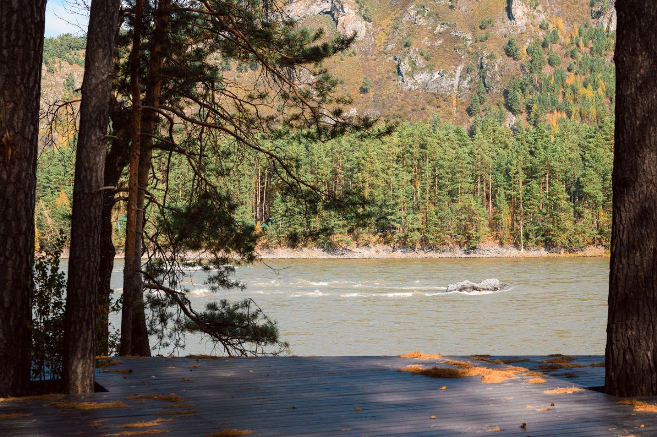 Дом Катунь - фото 30