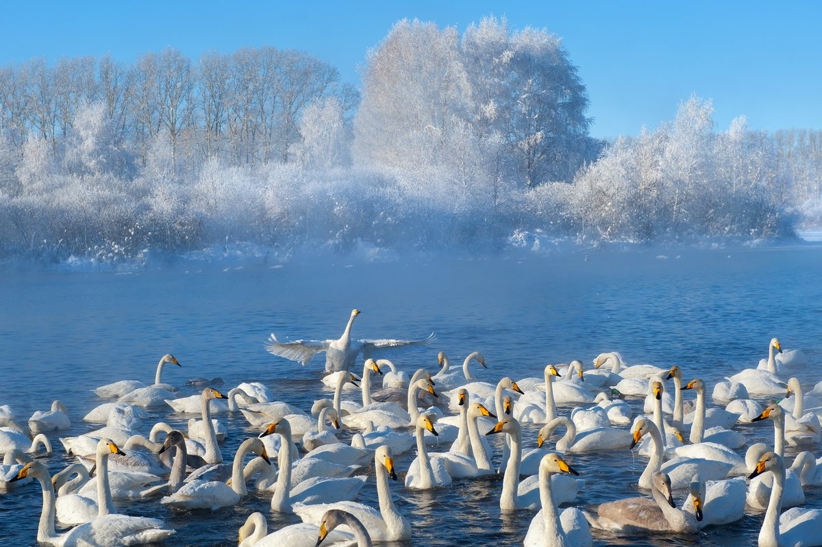 Дом Катунь - фото 43