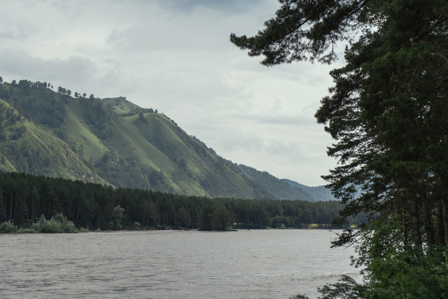 Дом Катунь - фото 48