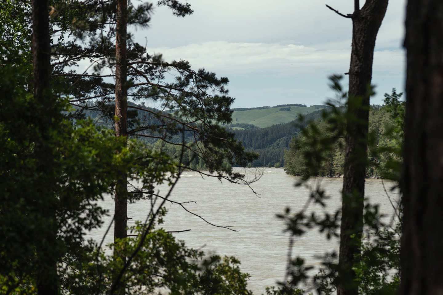 Дом Катунь - фото 50