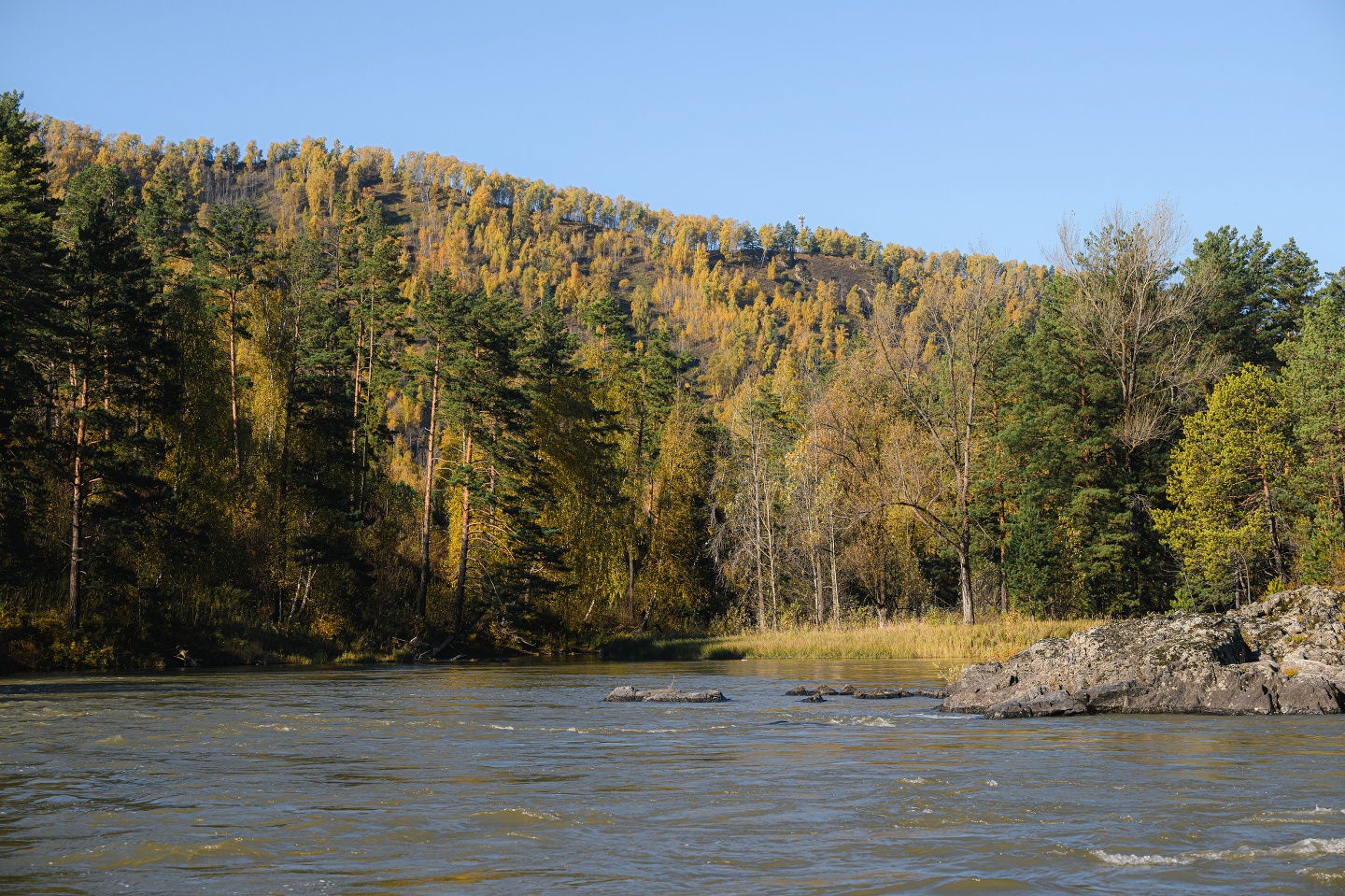 Дом Катунь - фото 52