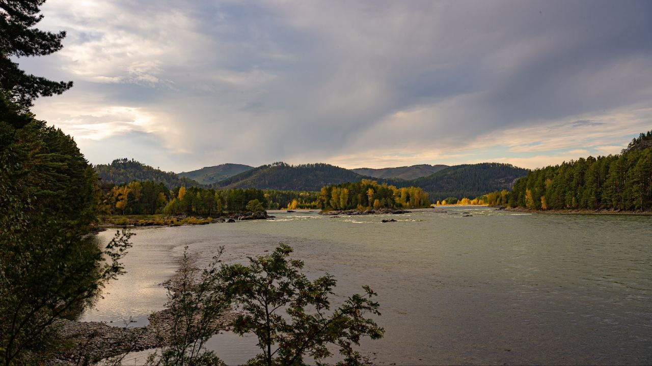 Дом Катунь - фото 53