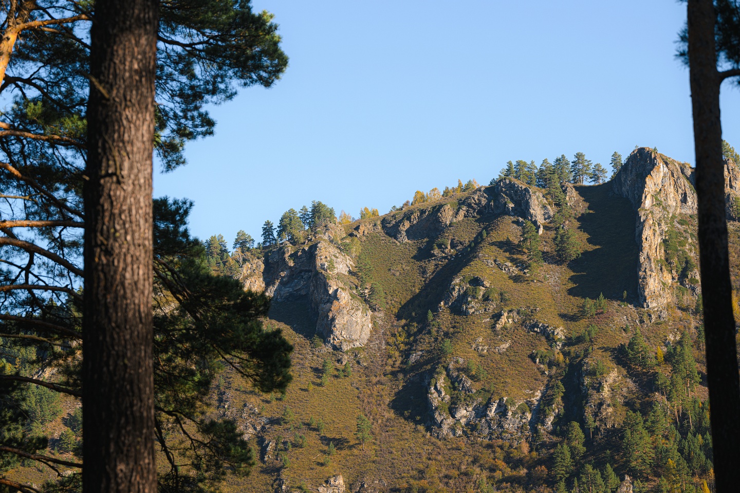 Дом Катунь - фото 56