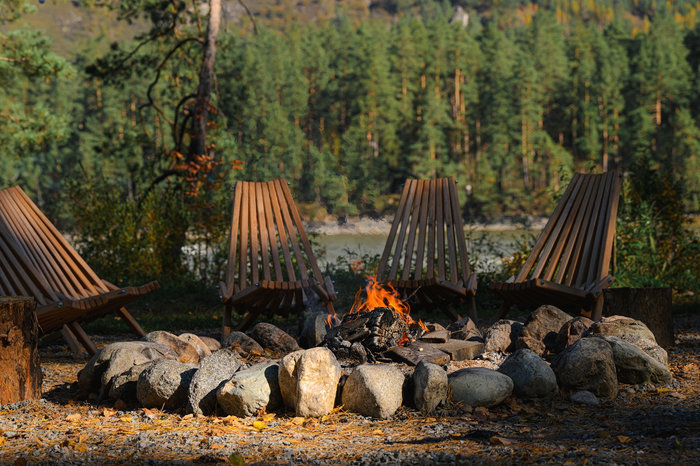 Дом Катунь - фото 63
