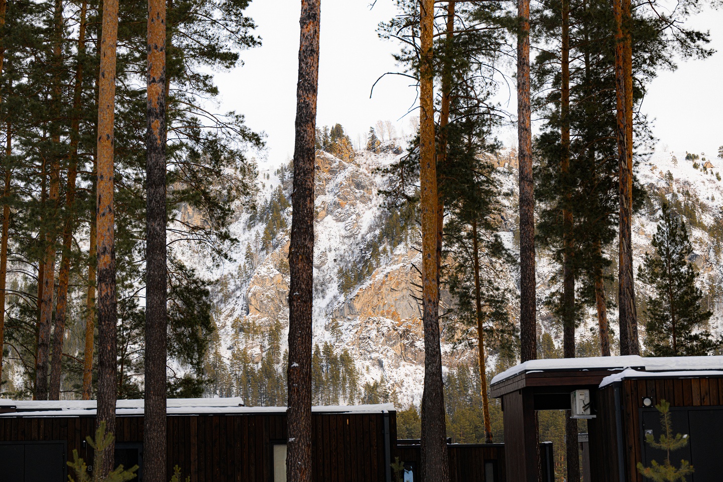 Дом Катунь - фото 92