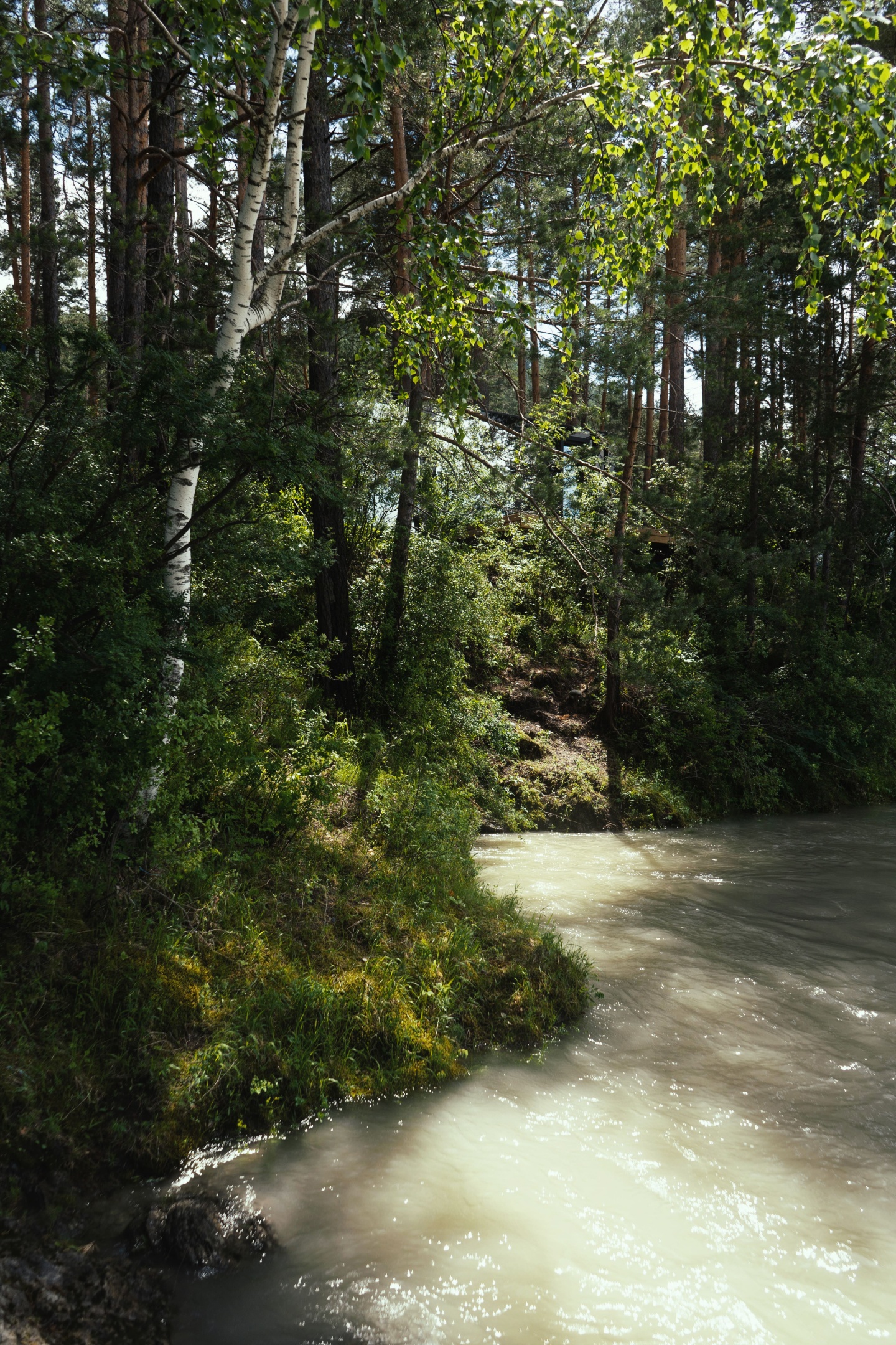 Дом Катунь - фото 94