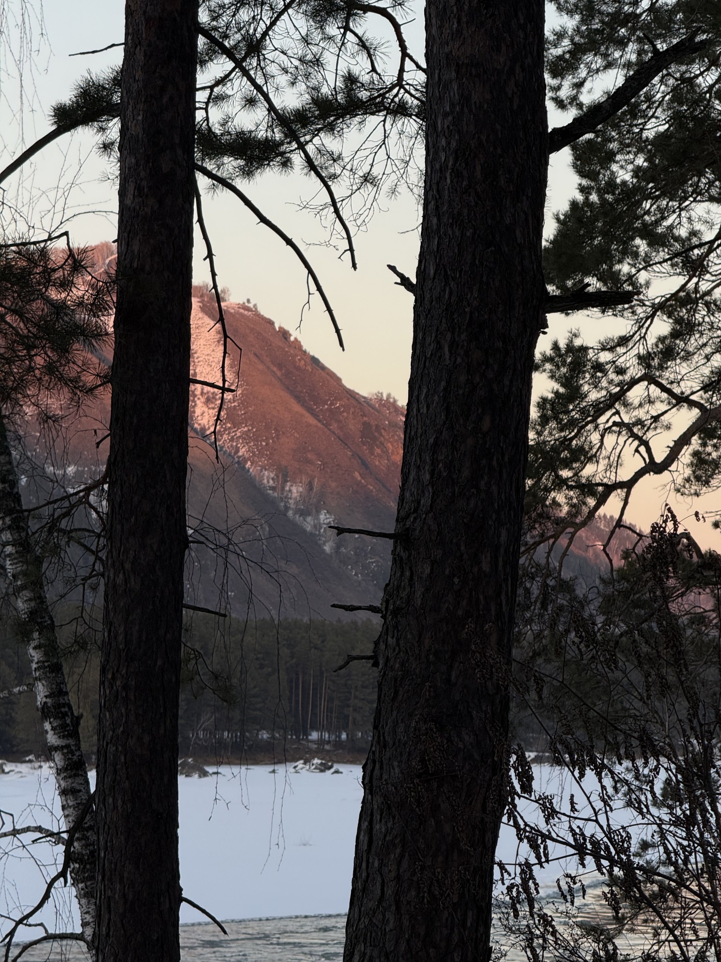 Дом Катунь - фото 96