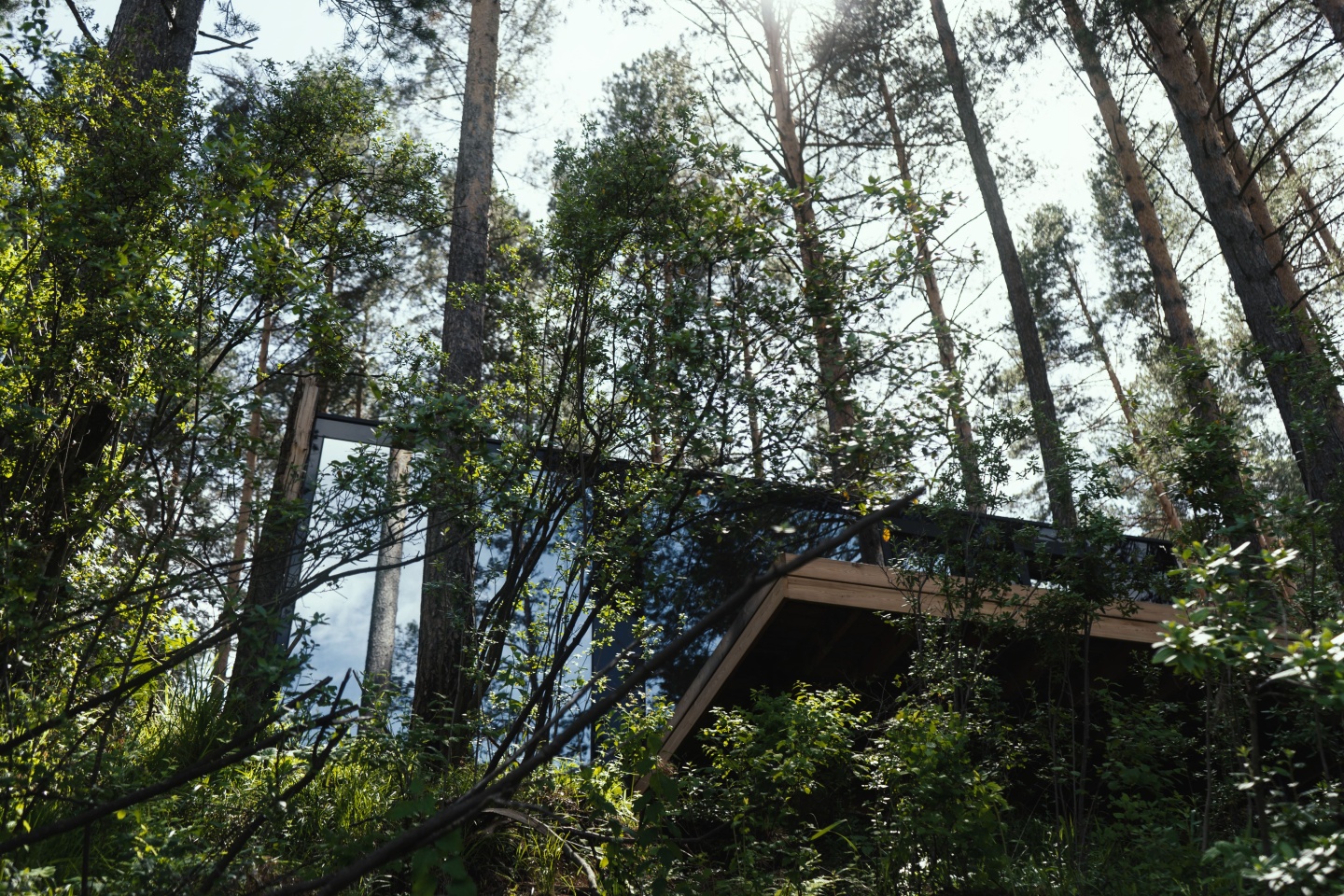 Дом Катунь - фото 97