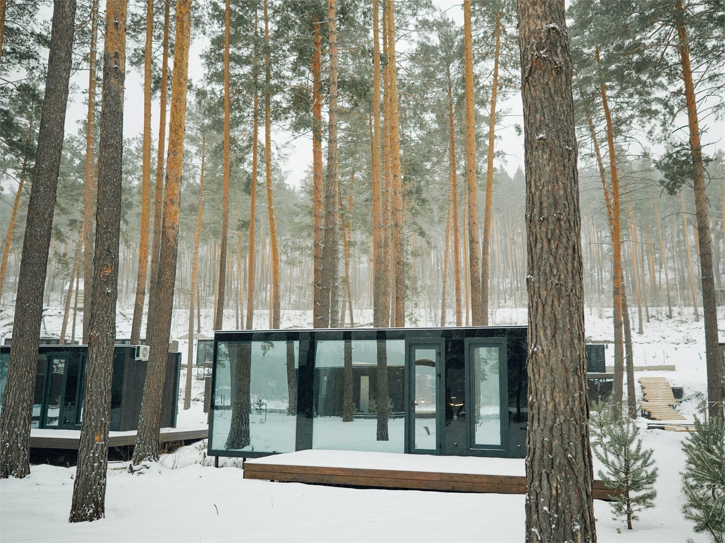 Дом Лес (Дом в Лесу) - фото 2