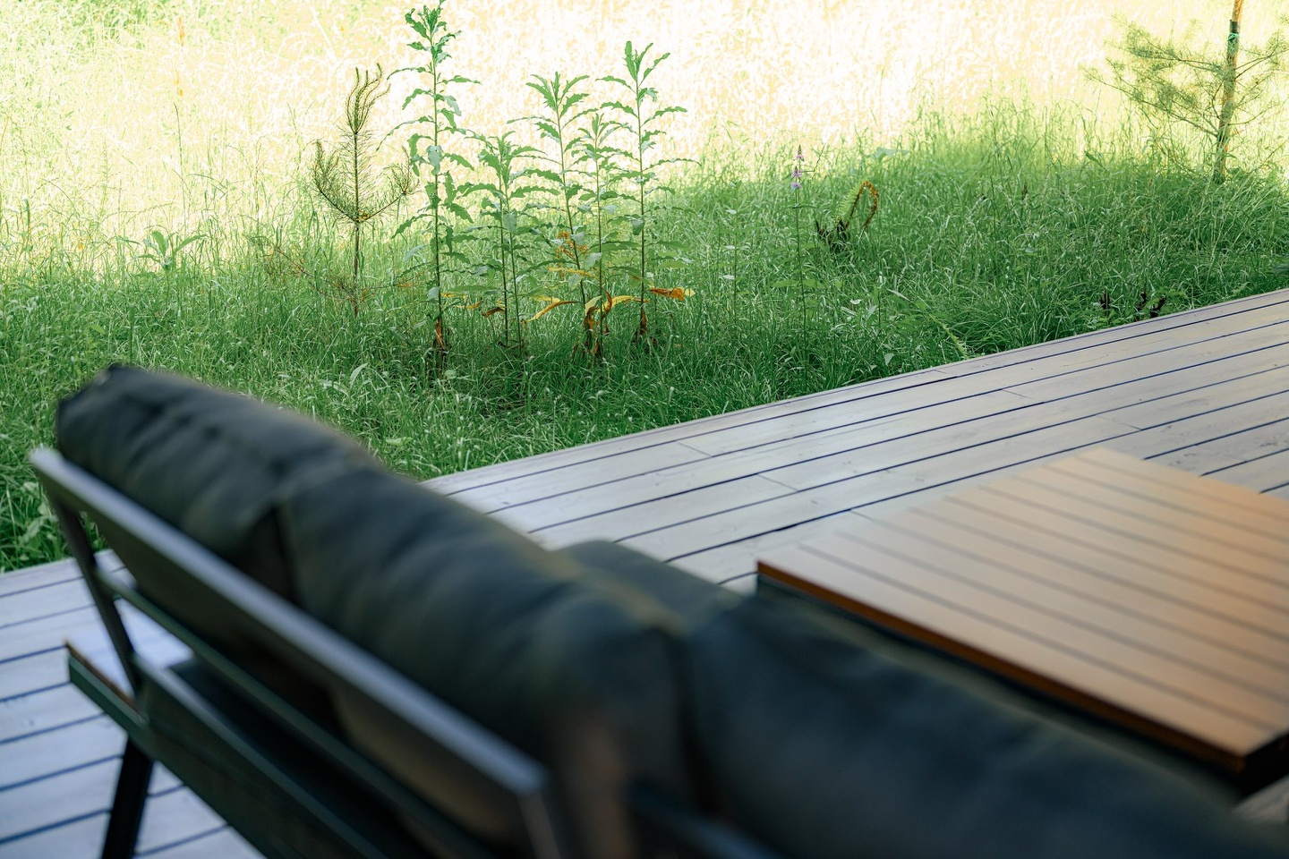 Дом Лес (Дом в Лесу) - фото 22