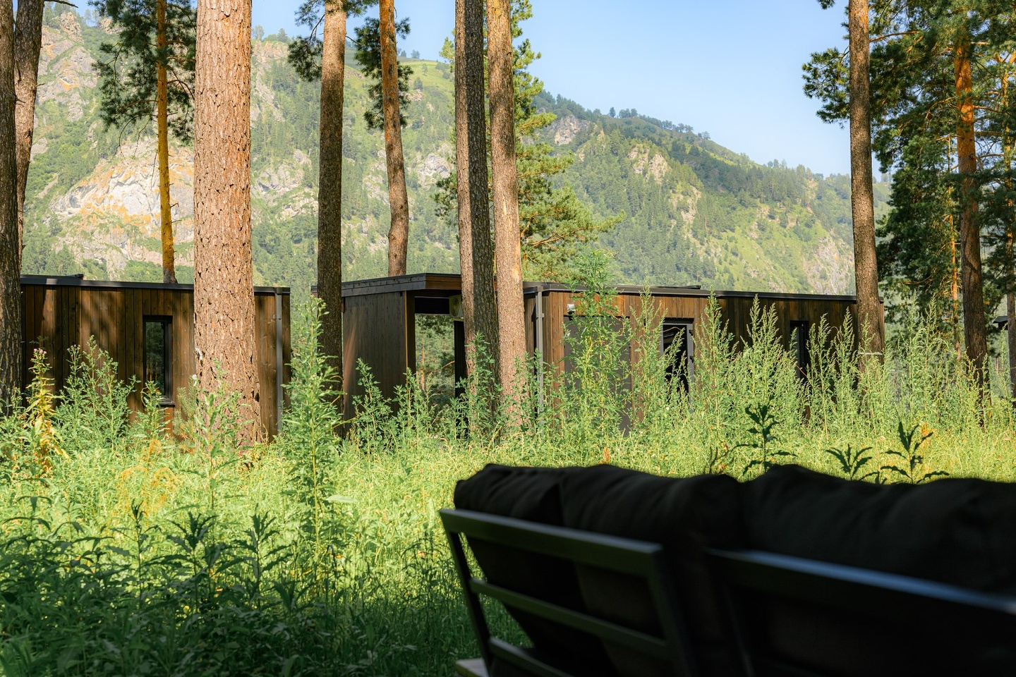 Дом Лес (Дом в Лесу) - фото 23