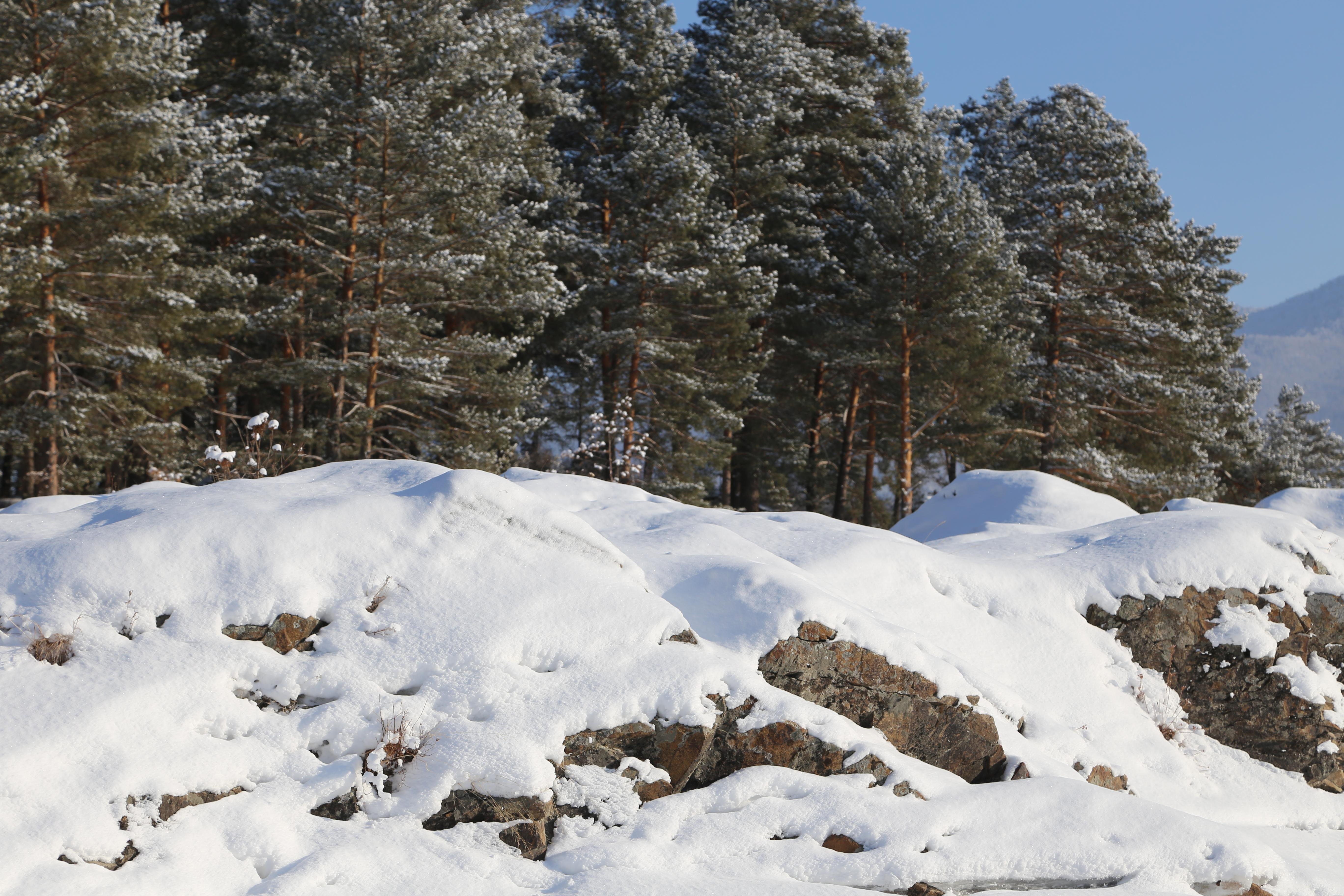 Манжерок - фото 91