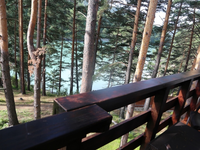 Люкс с видом на Катунь - фото 3