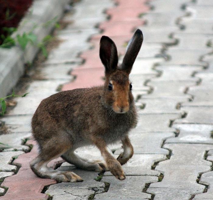 Талда - фото 18