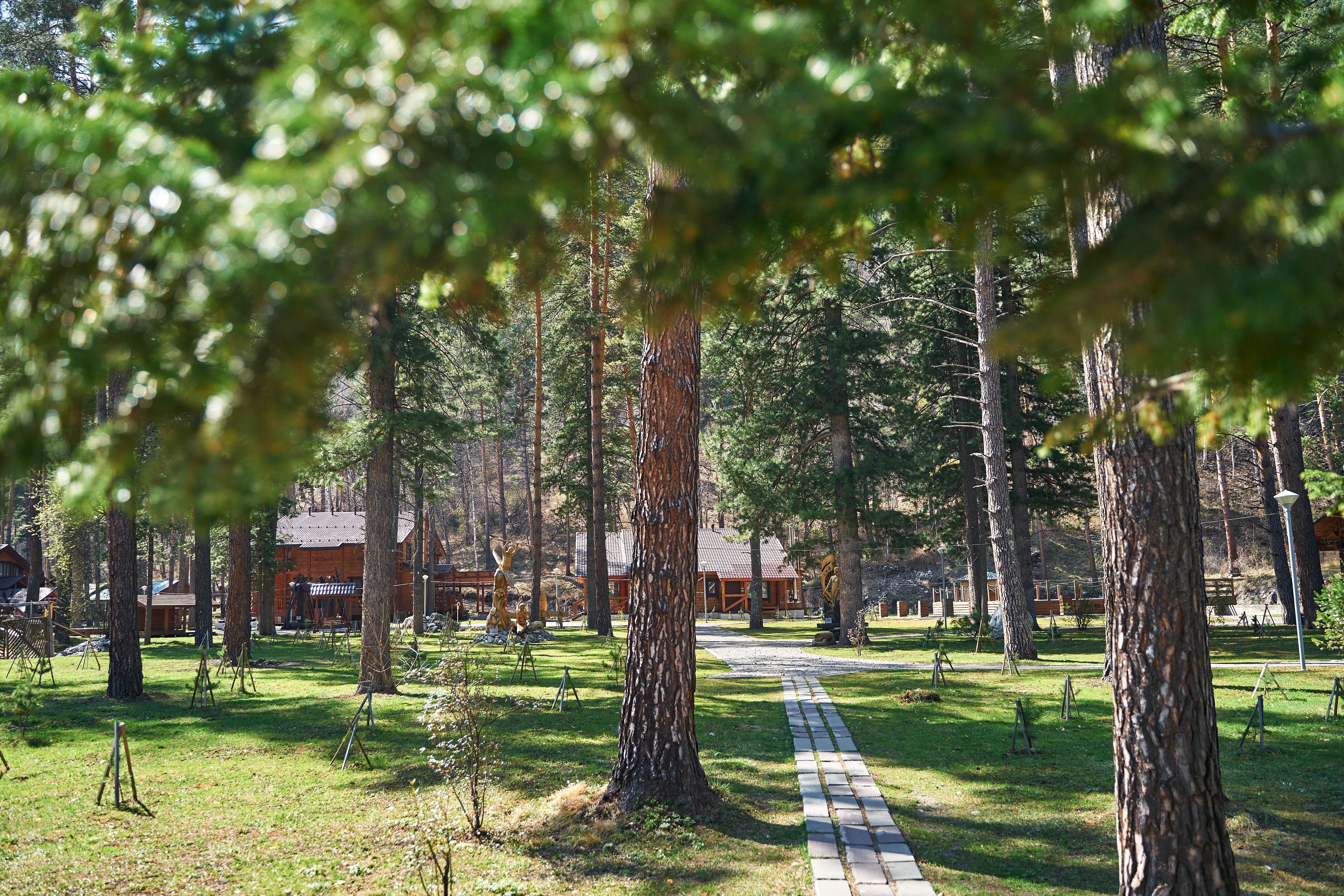 Подгорица - фото 62