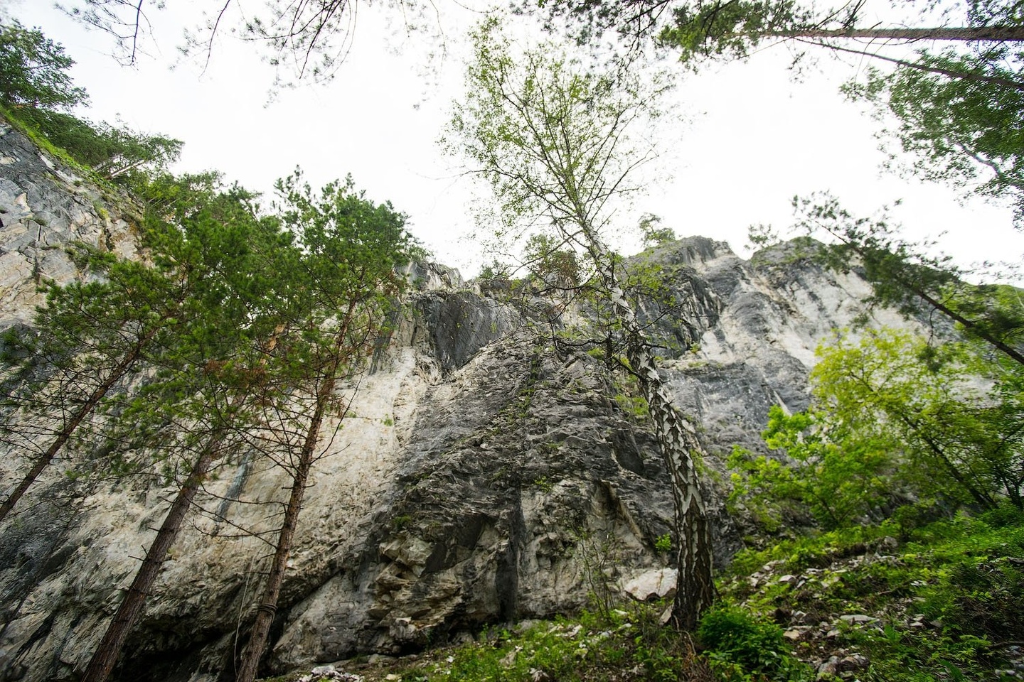 Подгорица - фото 98