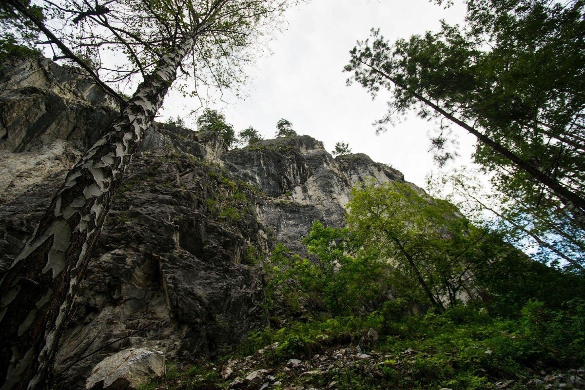 Подгорица - фото 115