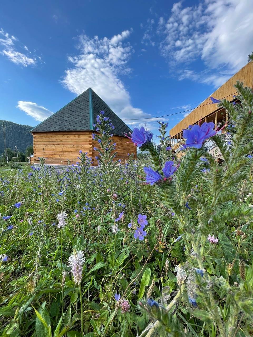 Хан Алтай - фото 1