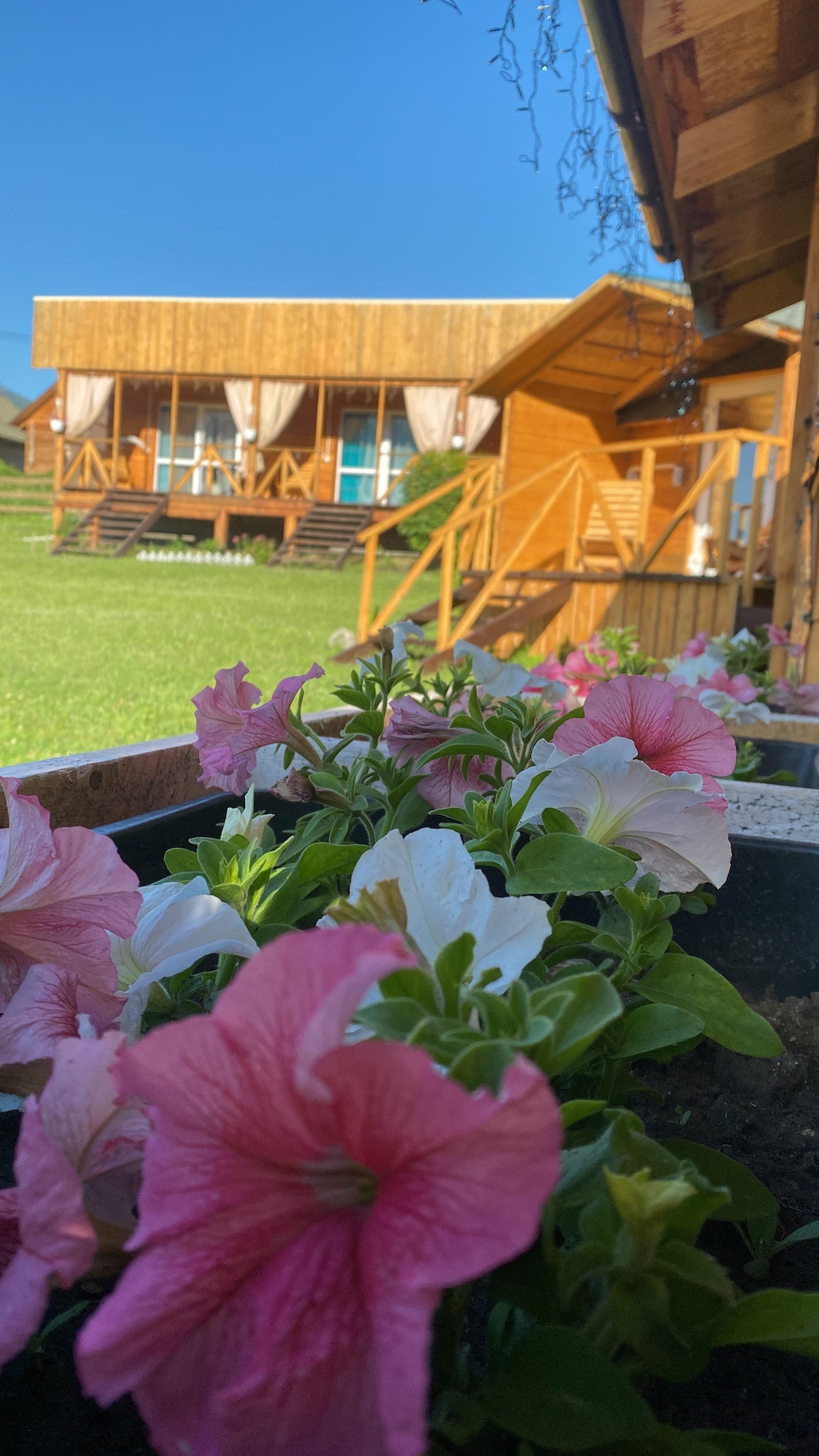 Хан Алтай - фото 7