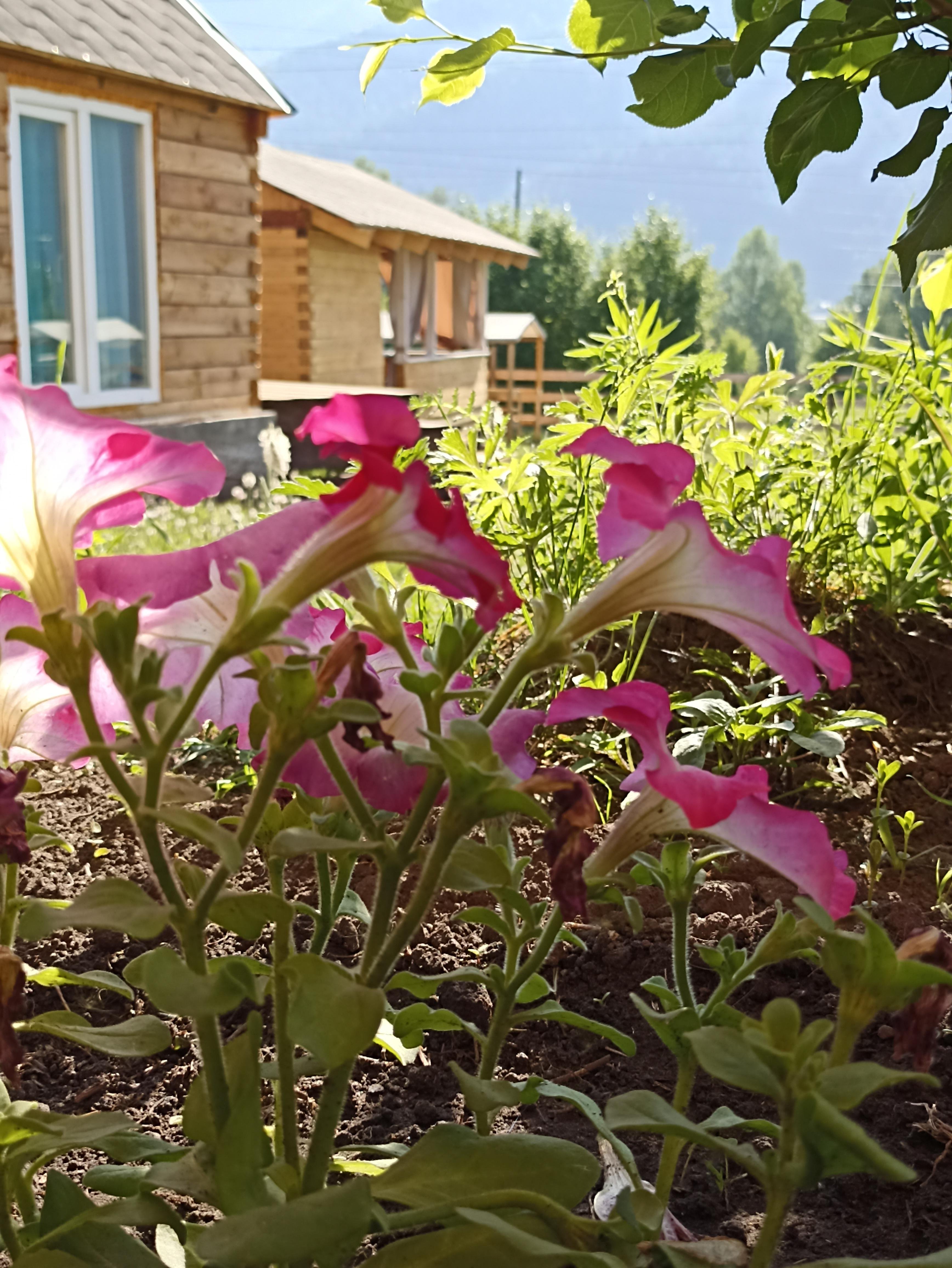 Хан Алтай - фото 15