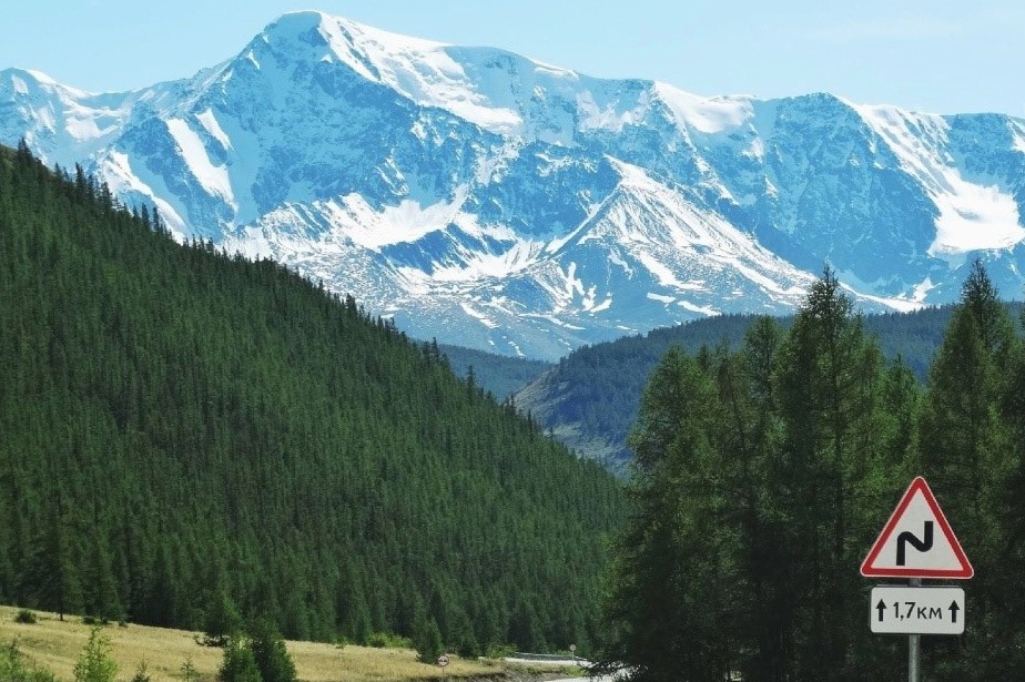 Вельвет - фото 16