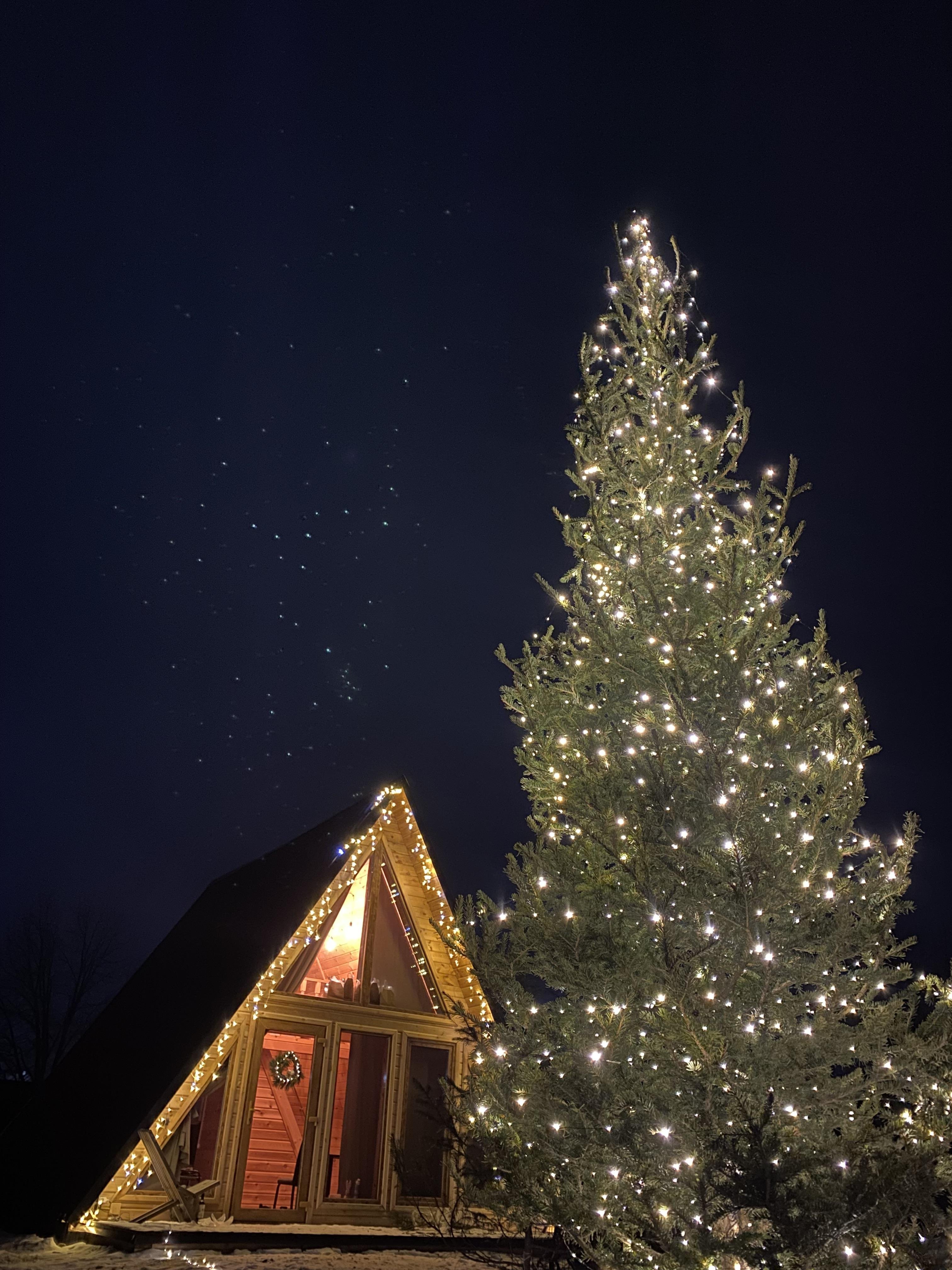 Вельвет - фото 18