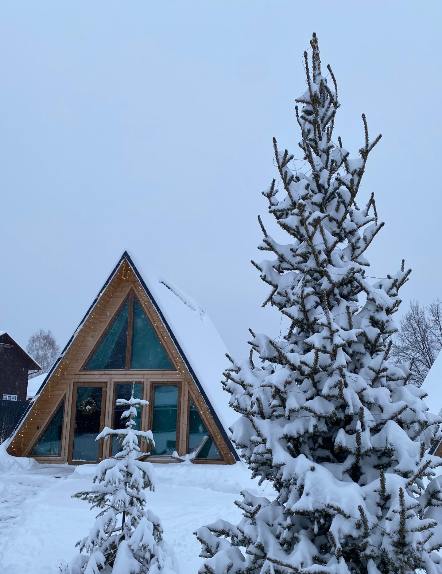 Вельвет - фото 34